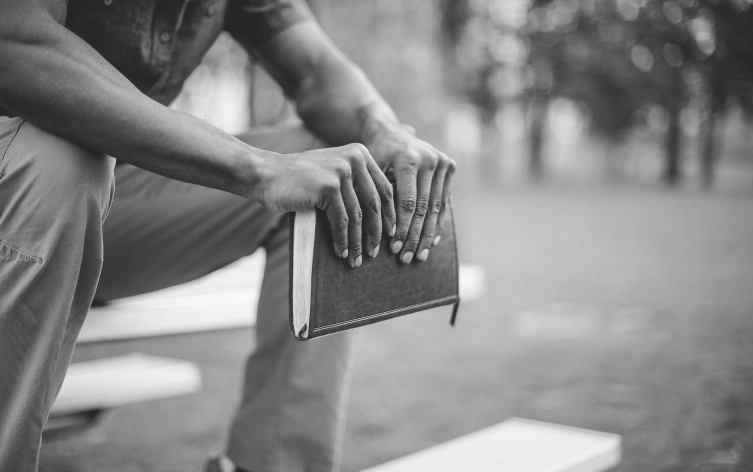 Entorno de aprendizaje práctico en lorevaniqo